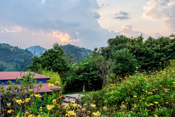 Chameleon Hill Forest Lodge: Gästeunterkunft im Grünen