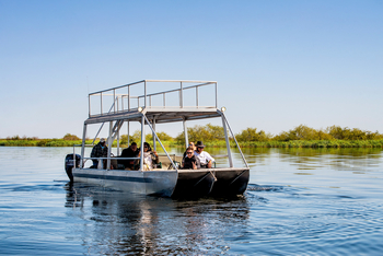 Chobe River Camp: River Safari