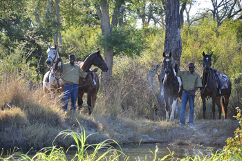 Chundukwa River Lodge: Reiten