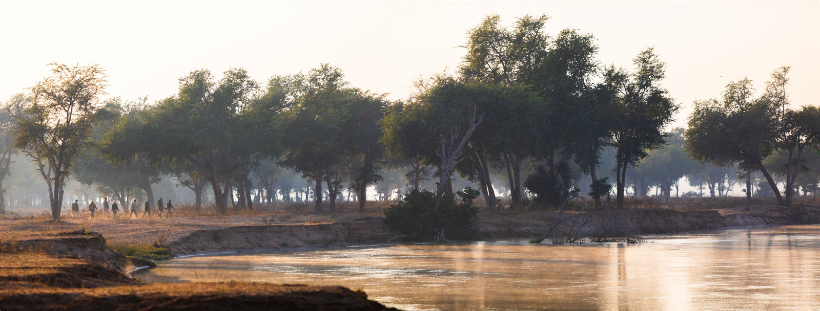 Classic Zambia Safaris Classic Zambia Safaris: Walking Safari