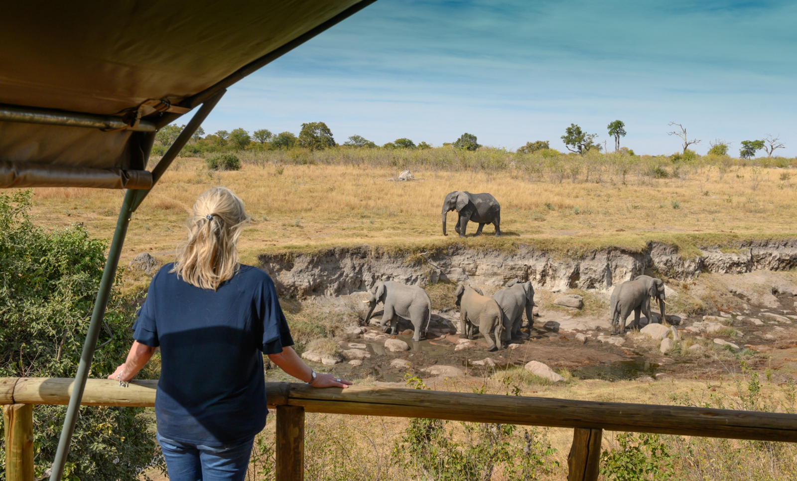 Deteema Springs Camp Deteema Springs Camp: Elefanten im Bachbett