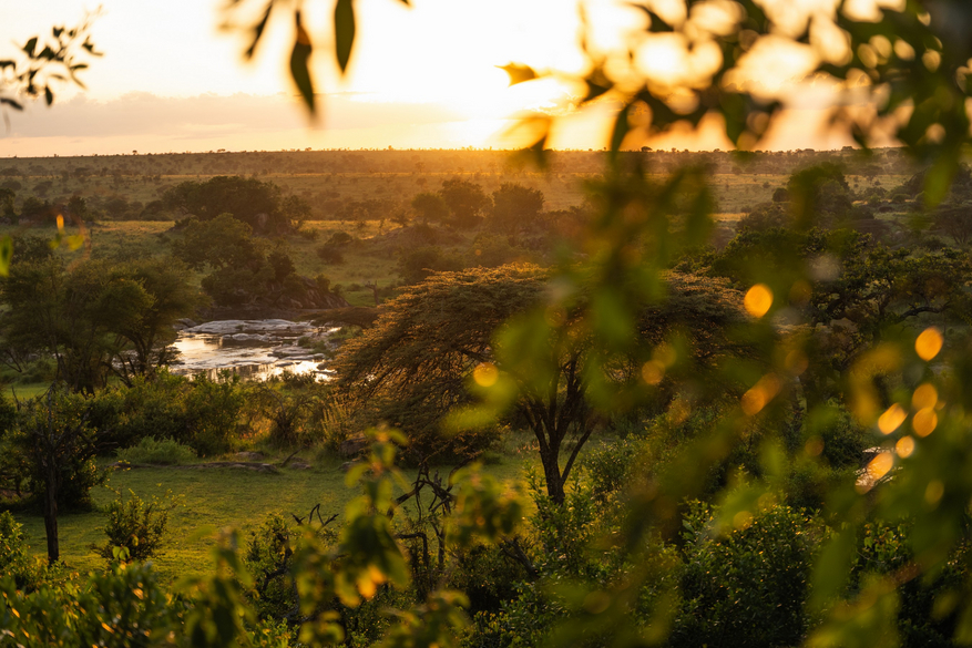 Elewana Serengeti Migration Camp