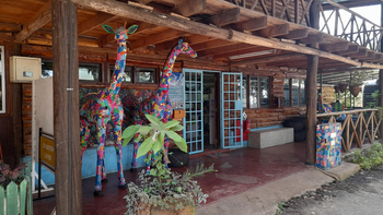 Giraffe Manor: Ocean Sole