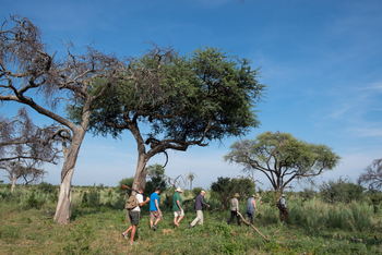 Gomoti Plains Camp: Aktivitäten