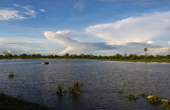 Imvelo Safaris Imvelo Safaris: Guage Pan