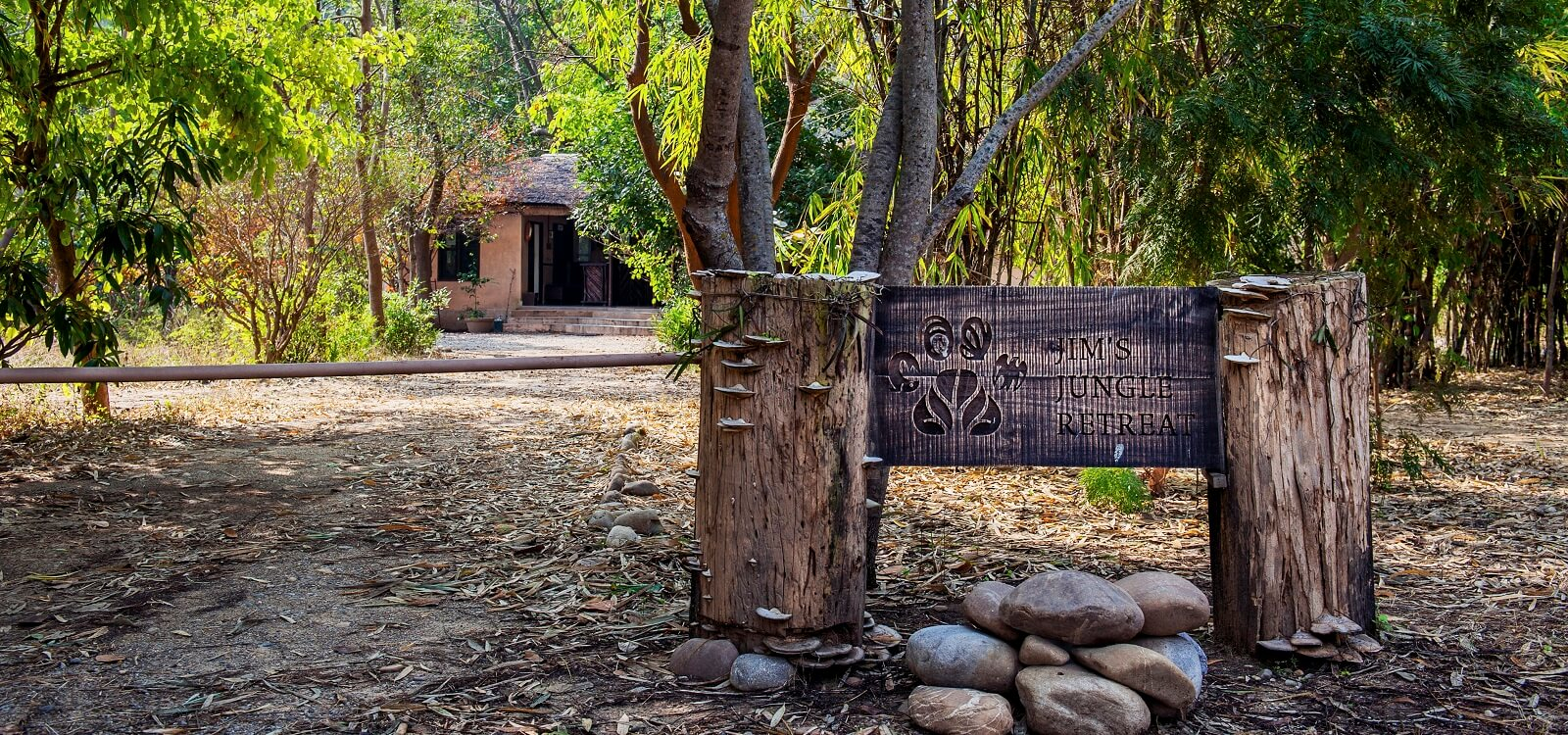 Jim's Jungle Retreat Jim's Jungle Retreat: Eingang