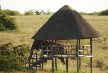 Kasenyi Safari Camp: Aussichtsplattform