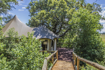 Nambwa Tented Lodge: Steg zum Zelt