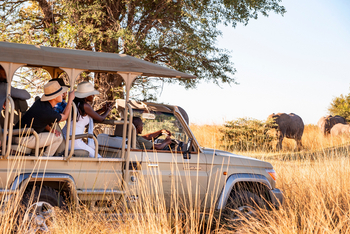 Namushasha River Lodge: Begegnung mit Elefanten