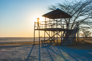 Nata Lodge Nata Lodge: Aussichtsturm