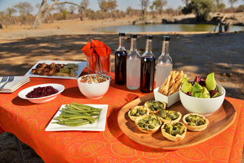 Nogatsaa Pans Chobe Lodge: Lunch