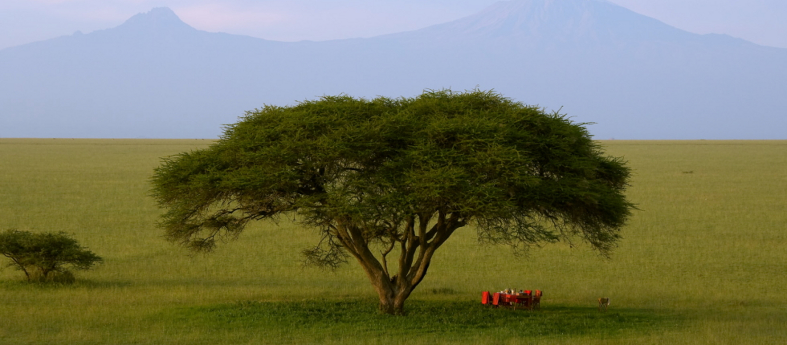 Ol Donyo Lodge Ol Donyo Lodge