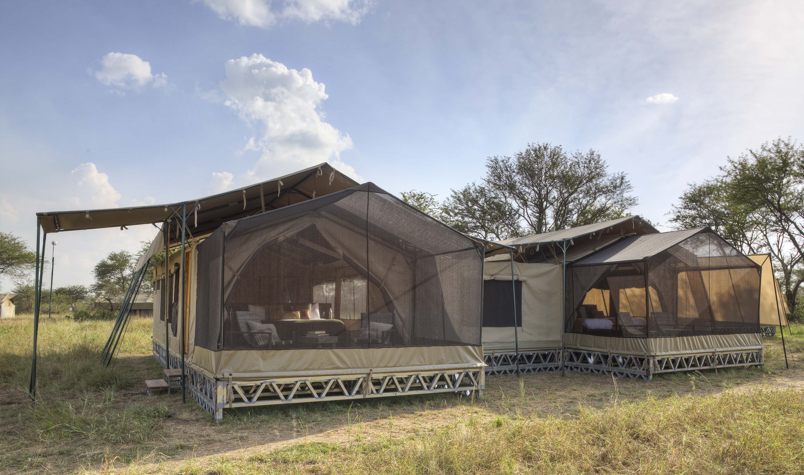 Olakira Migration Camp Olakira Migration Camp: Familienzelt mit 2 Star Gazing Extensions