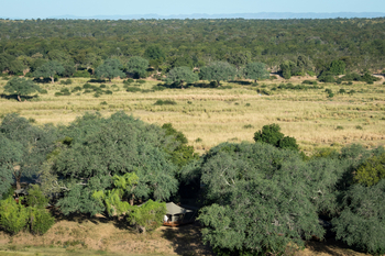 Ruckomechi Camp: Camp versteckt zwischen Bäumen