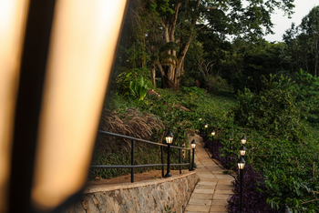 Gibb's Farm: Beleuchteter Weg