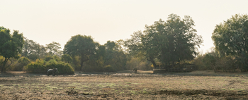 Kanga Camp: Landschaft