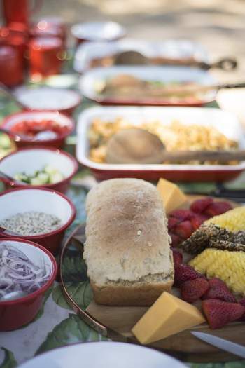 Beagle Expeditions: Brot und Früchte