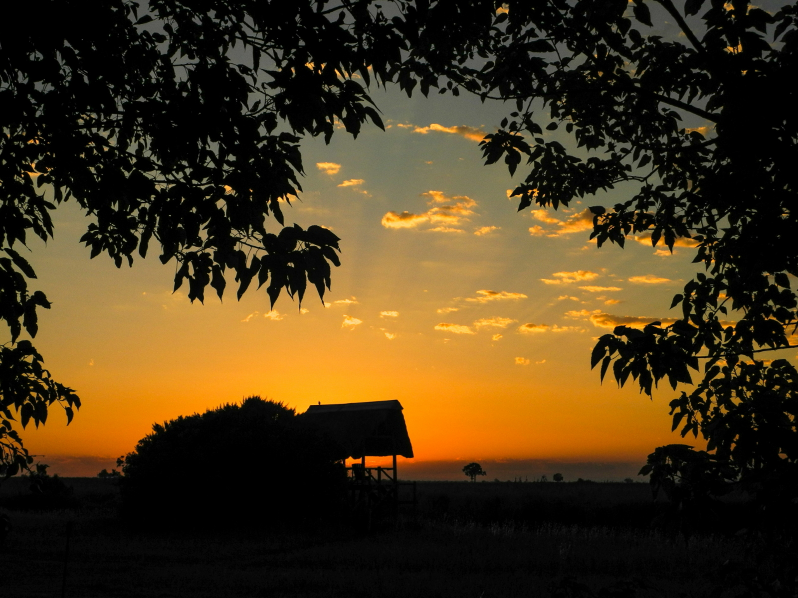 Lebala Camp Lebala Camp: Abendrot