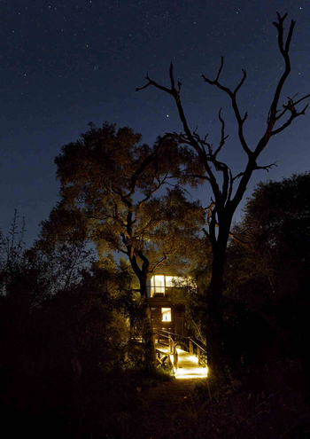 Lion Sands Tinveleti Treehouse: Holzsteg zum Lodgeeingang unter Sternen