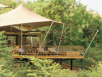 Mara Bushtops: Zeltsuite - Textildach