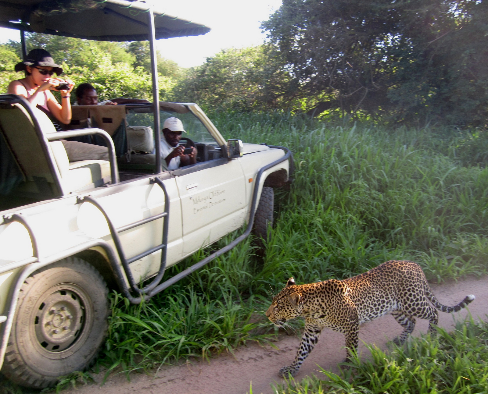 Mdonya Old River Camp Mdonya Old River Camp: Leopard