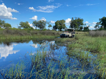 North Island Okavango Camp North Island Okavango Camp: Game Drive