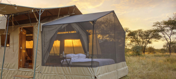 Olakira Migration Camp: Star Gazing Tent
