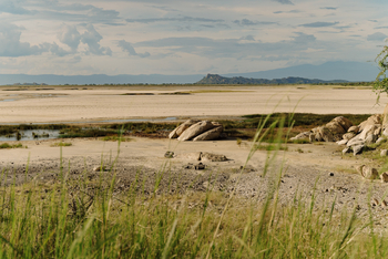Ombako Fly Camp: Felsen am Seeufer
