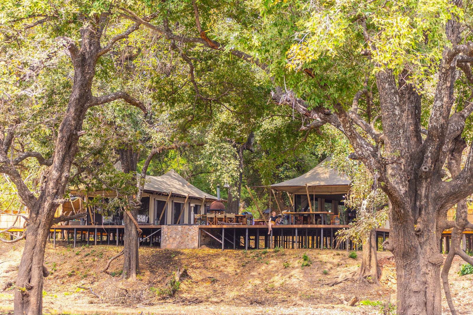 Painted Dogs Lagoon Camp Painted Dogs Lagoon Camp: Hauptgebäude