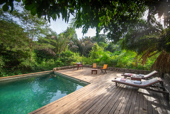 Rhino River Camp: Liegestühle am Pool