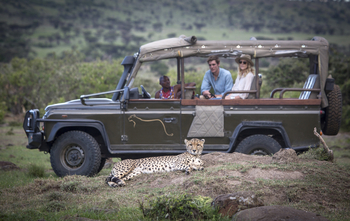 Richard's River Camp: Game Drive