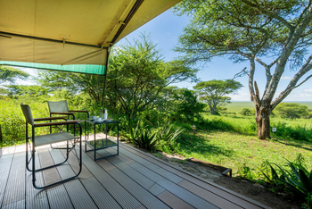 Serengeti Woodlands Camp: Executive Twin Suite