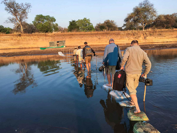 Shenton Safaris: Carmine Bee-Eater Hide