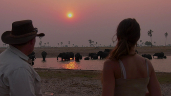 The Hide: Walking Safari