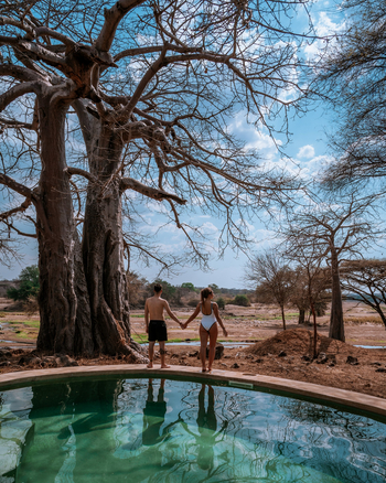 Asanja Ndembo: Baobab neben dem Pool