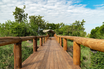 Elewana Serengeti Migration Camp: Weg ins Camp