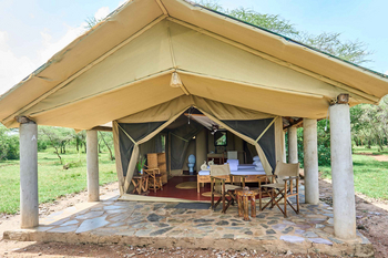 Ikoma Tented Camp: Bett mit Handtüchern und Blütenblättern