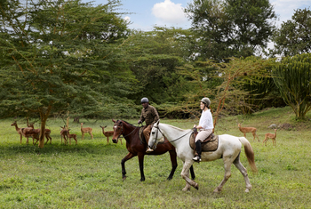 Laba Mama Simba: Pferde reiten mit Guide