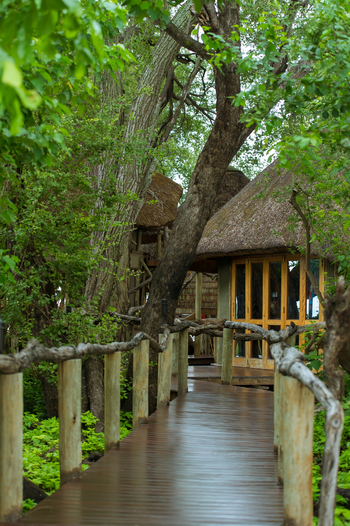 Lagoon Camp Lagoon Camp: Steg