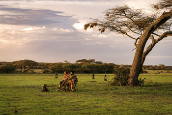 Legendary Songa Migrational Camp: Landschaft