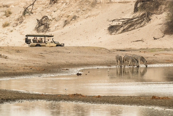 Leroo La Tau Lodge: Wasserloch