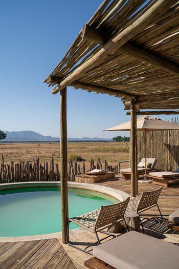 Nyamatusi Mahogany Camp: Plunge Pool Portrait