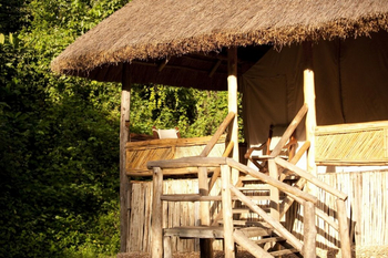 Primate Lodge: Holztreppe