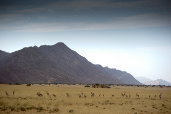 Sanctuary Okahirongo River Camp Sanctuary Okahirongo River Camp: No Title
