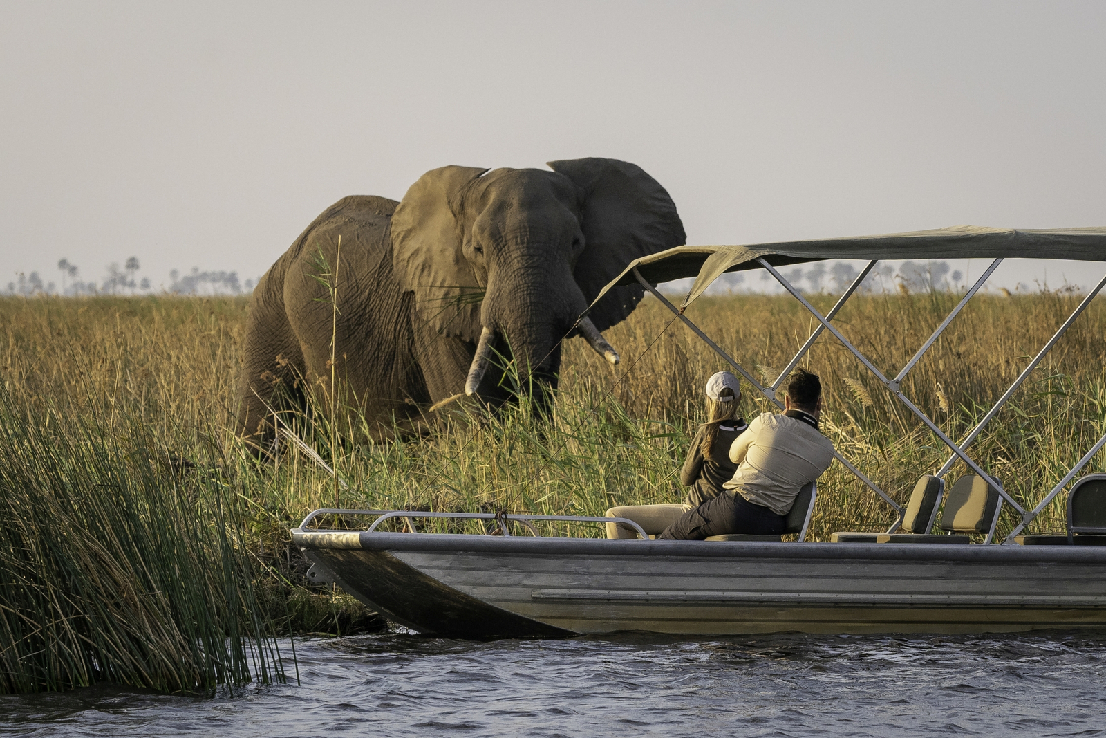 Savuti Camp Savuti Camp: Motorbootsafari