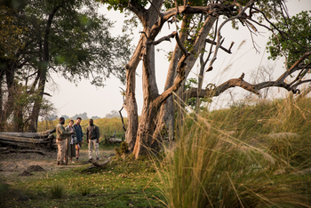 Sitatunga Private Island Camp: Reisegruppe im Grünen