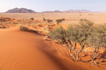 Sossusvlei Lodge: Elim Dune Walk