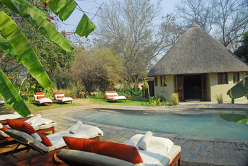 Divava Okavango Lodge and Spa: Swimming Pool