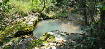 Forsyth Lodge Forsyth Lodge: Natürliches Wasserloch