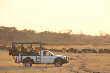 Khulu Bush Camp Khulu Bush Camp: Game Drive